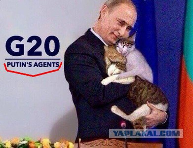 Те самые три кошки на G20 - Были агентами Путина!