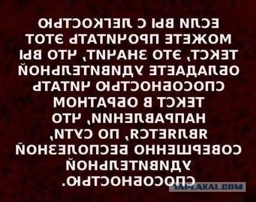 15 картинок с тЫрнета