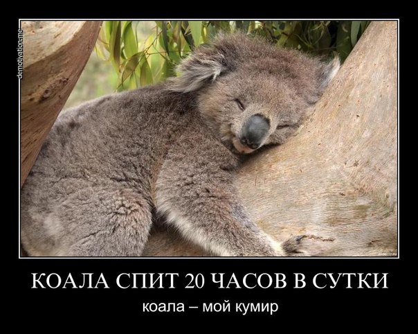 Картинки и демотиваторы