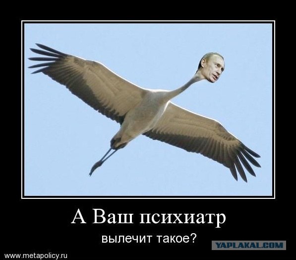 Путин с клювом в халате возглавил журавлиный клин