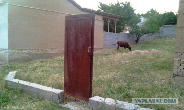 Весёлые картинки
