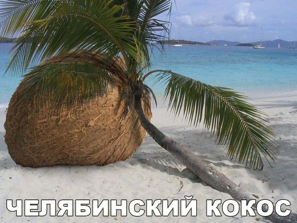 Подборка картинок из сети