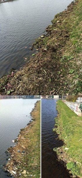 Подборка картинок из сети