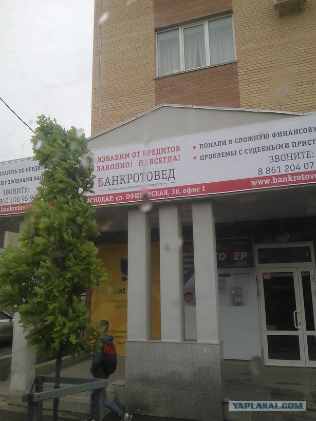 Область, в которой хочется жить