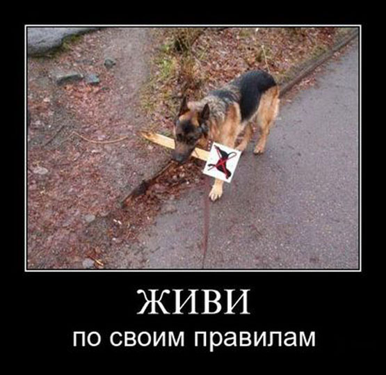 Для Поднятия Настроения - 8