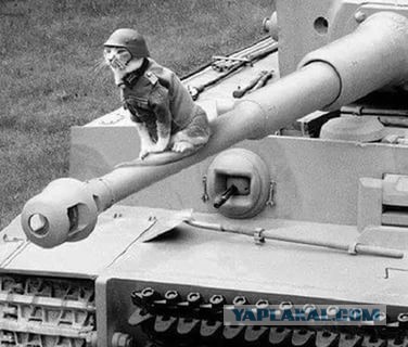 Wargaming 39