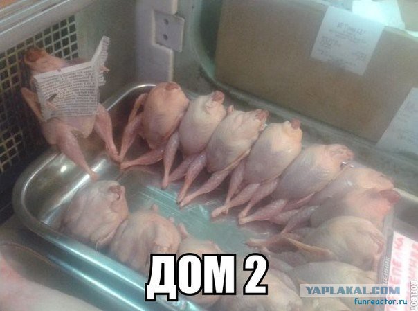 Неужели свершилось?! Дом2 закрыли!