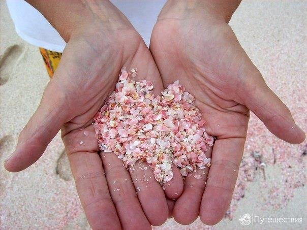Фото интересные и не только
