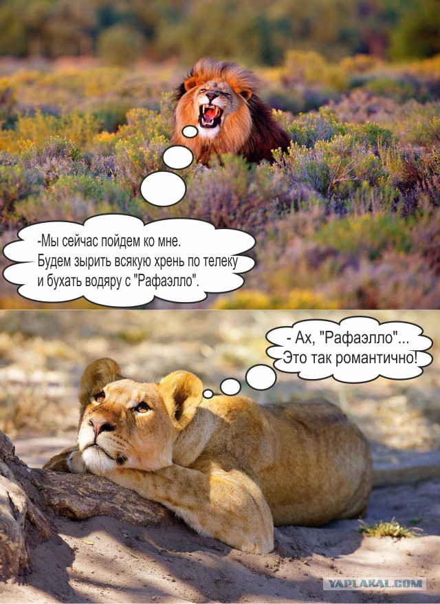 Фото дня