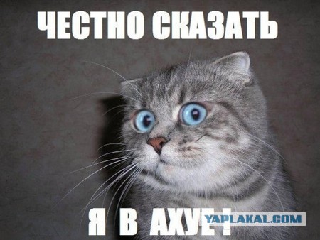 ЦОДД не для всех
