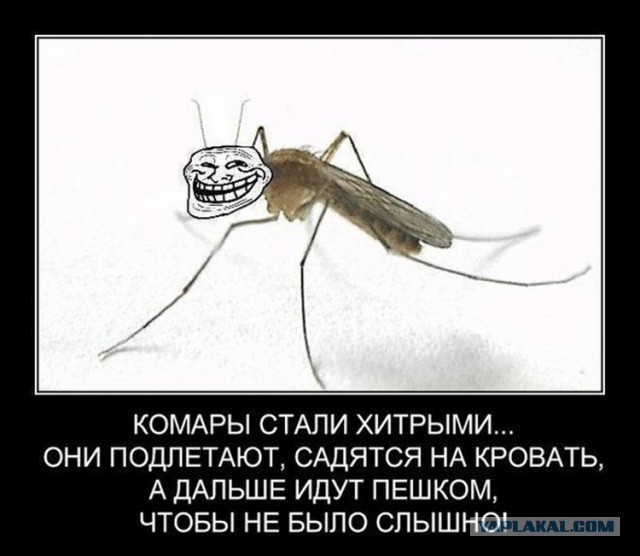 Картинки все подряд