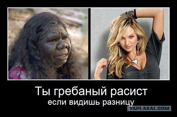 Мисс Израиль и мисс Ирак сфотографировались вместе и вызвали споры о вражде двух наций и религий