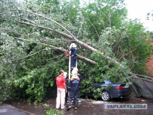 Ураган в Москве, 11 июня 2009