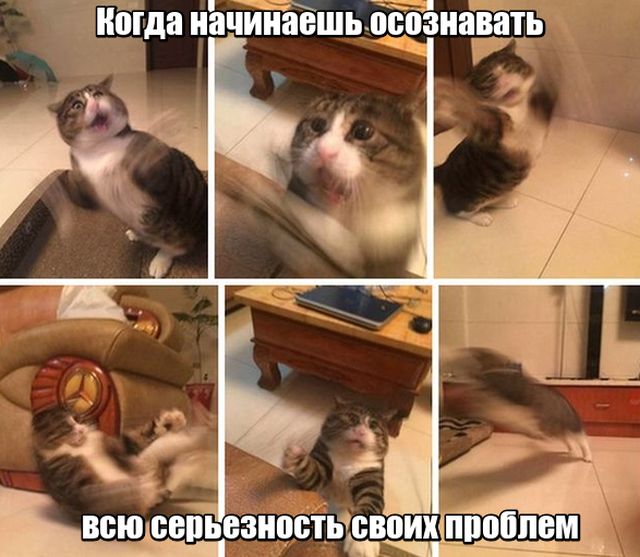 Подборка интересных и веселых картинок
