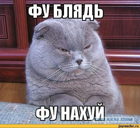 Карусель, карусель, кто успел... (вертикалка)