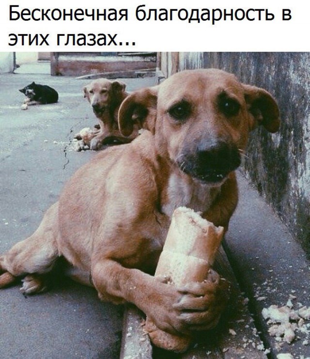 Немного интересных и добрых картинок на вечер