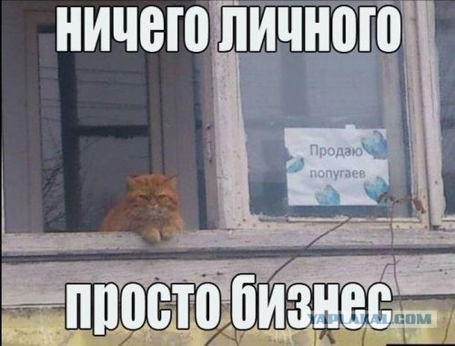 Немного картинок на вечер этой субботы