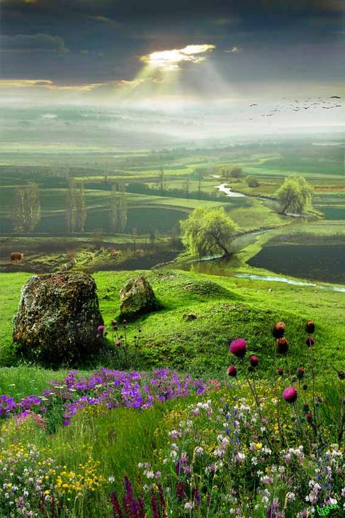 Красивые работы (c) IGOR ZENIN