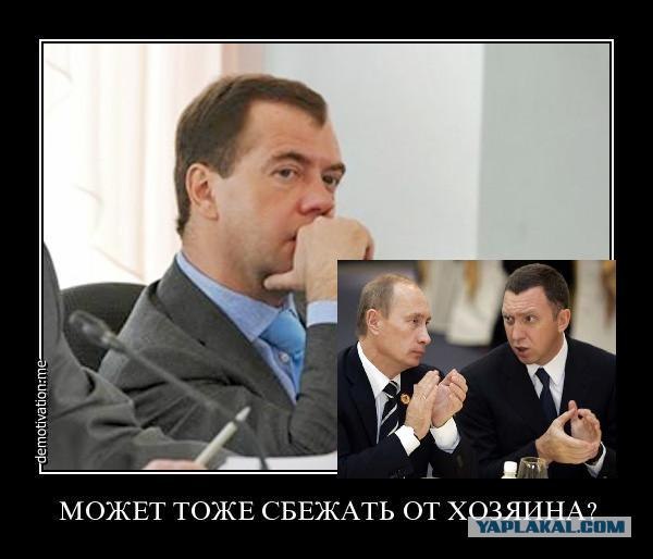 Дорофей убежал! Ещё один всё понял...