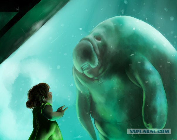 Первый контакт состоялся