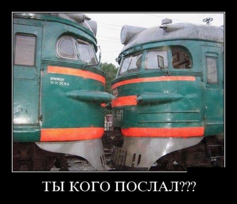 Весёлые и/или жизненные картинки