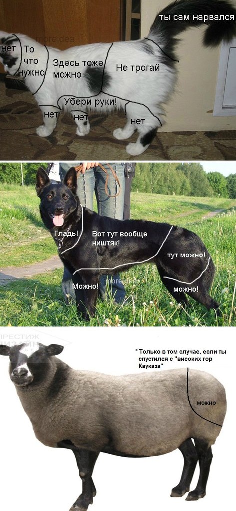 "Гладильные" места