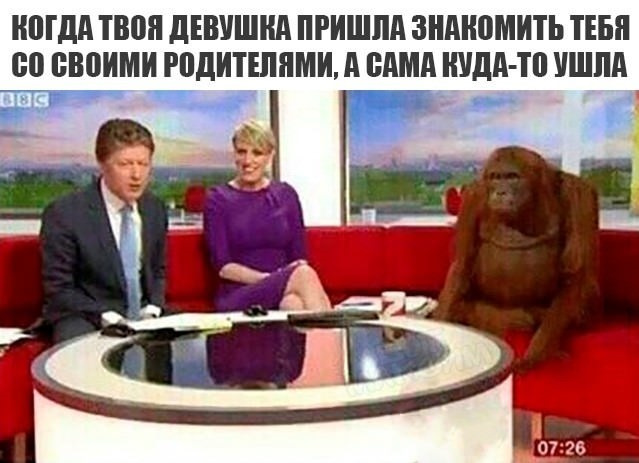 Просто картинки
