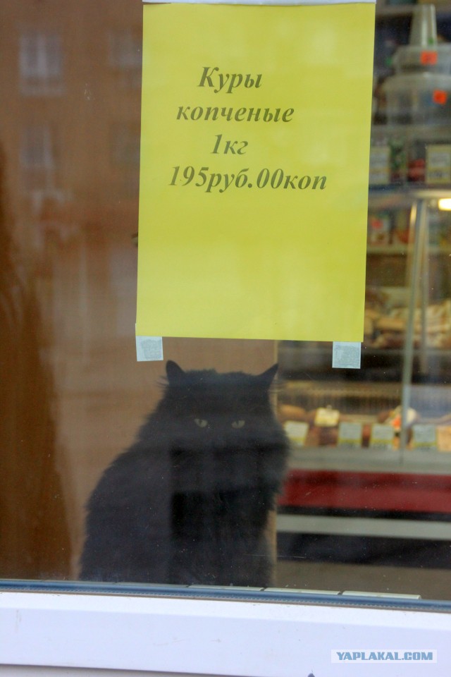 Только бы продать: примеры маркетинга на грани фола