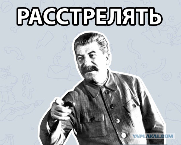 Будни биомусора