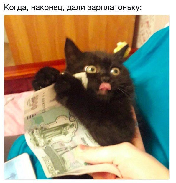 Многокартинок