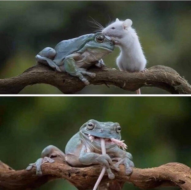 Немного фоток на любителя