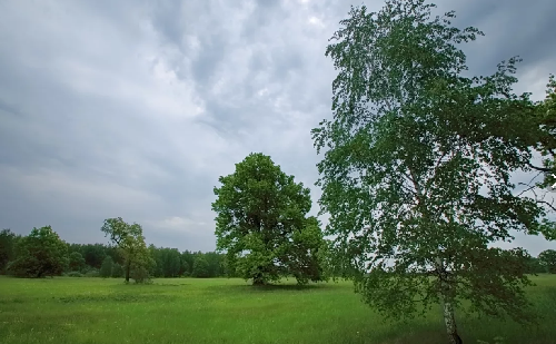 Остров журавлей. Куресаари- Сааремаа. Эстония