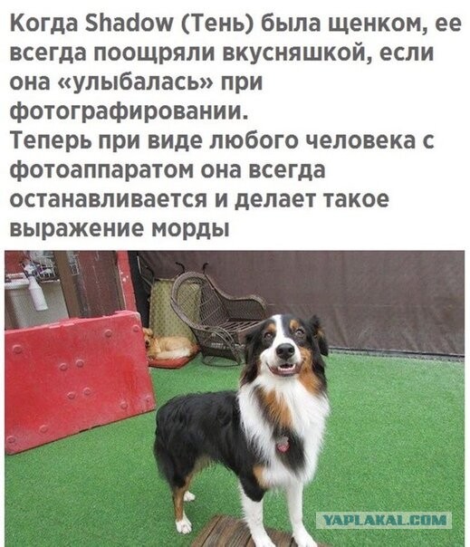 Дед Семёна