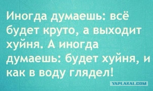 Фотки и картинки: юморные и красивые, забавные и милые 20.09.20