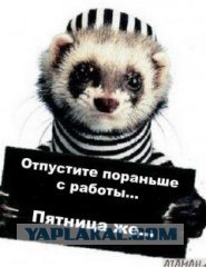 Игра: Ассоциации на ник пользователей ЯПлакалъ
