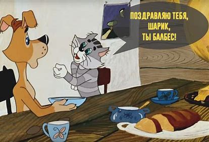 Котики