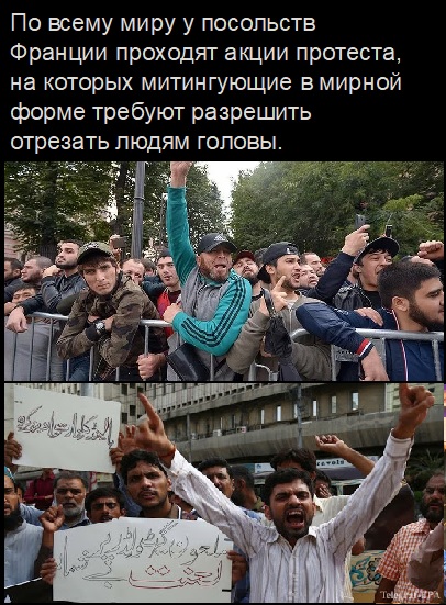 Картинки с надписями и анекдоты