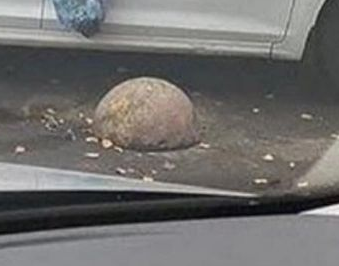 В Краснодаре местные жители закидали мусором автомобиль женщины, которая паркуется перекрывая проход к мусорным бакам