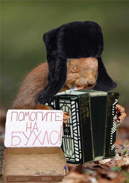 Белка