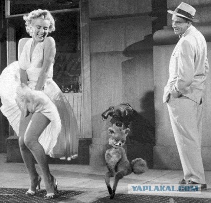 Таксидермия + наркомания