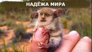 Скажем "Да!" деградации