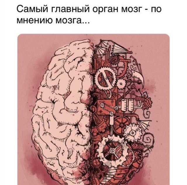 Картинки и мемы для настроения