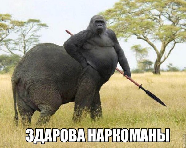 Срочное сообщение