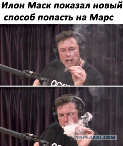 Конопля в 30 раз эффективнее аспирина, но до сих пор находится под запретом