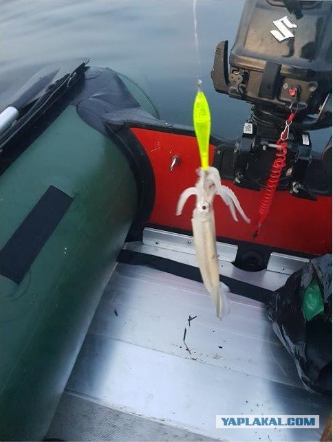 Как я в субботу за корюшкой ездил. Рыболовный пост. Фотоотчет