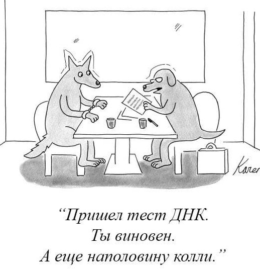 Будем посмотреть картинок