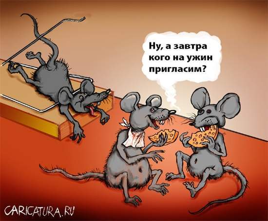 Фото-винегрет-4. Картинки ниапчём и обо всём