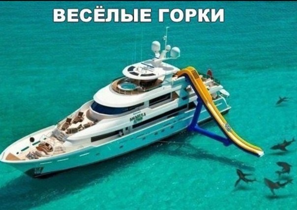 Весёлый полтишок 16.05.22