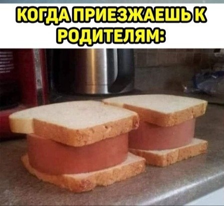 Весёлый полтишок 19.05.22