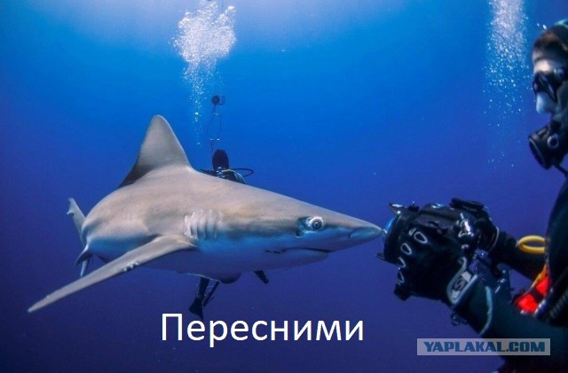 Подборка интересных и прикольных фото из Сети 24.07.22